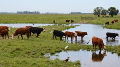 El Niño: anticiparse para reducir el impacto en los sistemas productivos