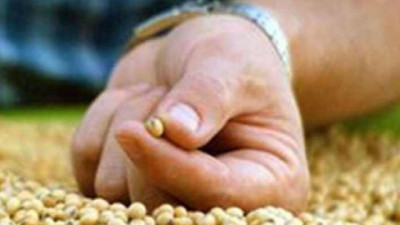 Enfoque de Mercado: Fundamentos agrícolas resisten la volatilidad energética e impulsan los futuros en Chicago