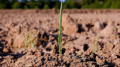 Syngenta en Aapresid pone el foco en la salud del suelo