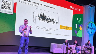 El trigo desafió sus límites en Rosario: innovación genética y manejo de precisión para conquistar nuevos techos productivos