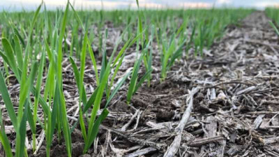 La suba de los fertilizantes generó un sobrecosto importador de USD 180 millones en el primer semestre de 2026