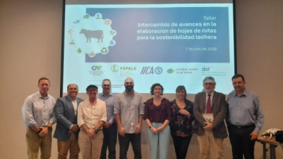 Hojas de ruta para la sostenibilidad lechera, países piloto presentan avances en su elaboración