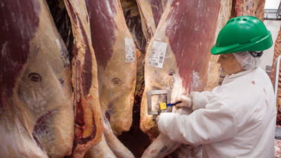¿El gigante de la carne vacuna está en problemas? Brasil enfrenta nuevos límites comerciales