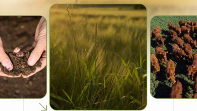 La Pampa reunirá a las principales voces del carbono, la ganadería y agricultura regenerativa del país