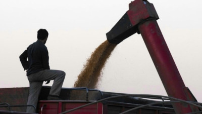 El aporte de las principales cadenas del agro en derechos de exportación ascendería a US$ 4.613 M en 2026