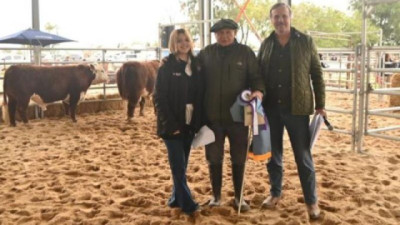 Hereford: la raza que gana terreno en Santa Fe lució en Expo San Justo