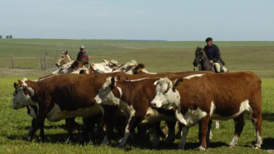 Sierra India en Uruguay: cuando conservar la biodiversidad también mejora la producción
