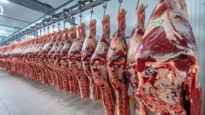 Menos Hacienda y precios firmes: ternero +62,5% y carne vacuna +52,4%