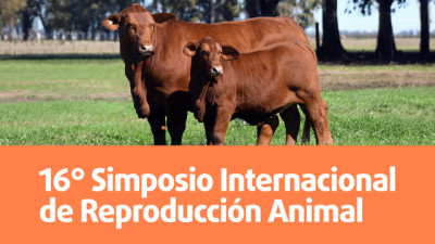 Biogénesis Bagó y el 16° Simposio Internacional de Reproducción Animal: ¿cómo lograr más terneros por vaca?