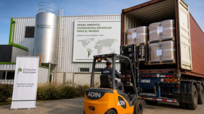 De Arroyito a EE.UU.: una cordobesa convierte yerba mate en un negocio de US$ 400.000 (proyecta 240 toneladas para 2027)