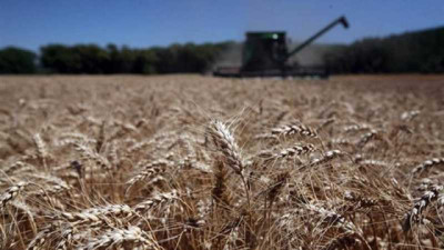 JPMorgan advierte sobre un posible shock alimentario hacia 2027