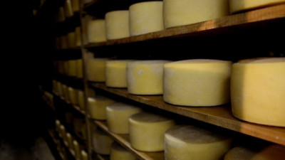 Argentina fortalece la presencia en Malasia con productos lácteos y carne bovina