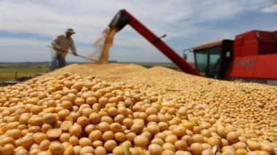 Las cadenas agroindustriales aportaron casi USD 32.000 millones de divisas en lo que va del año