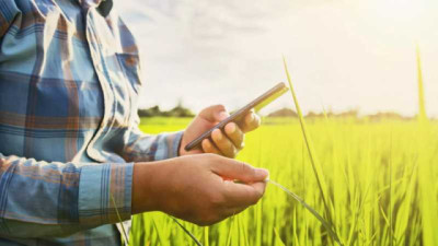 Del asado del domingo al directorio: cómo ordenar las decisiones de una empresa agropecuaria