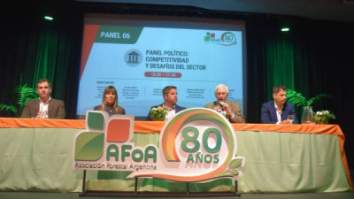 US$2.500 millones y una nueva etapa: la apuesta del Gobierno por la Forestoindustria argentina