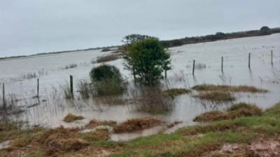 Rocha bajo agua: campos anegados y ganado en movimiento