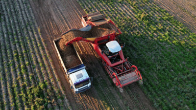 El “otro agro” enfrenta un dólar menos competitivo, pero recupera volumen de exportaciones