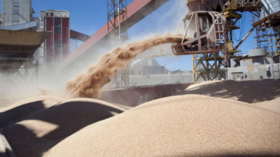 Inscripción para exportadores de granos de cebada, trigo, soja, sorgo y maíz a China