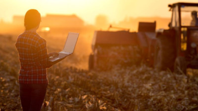 El Banco Nación consolida su liderazgo en el financiamiento al agro, con una cartera agropecuaria de $4,5 billones y crecimiento récord