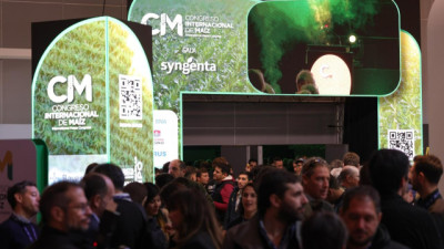 Maíz 2026/27: El Niño y la chicharrita vuelven a poner al cultivo en el centro de la escena