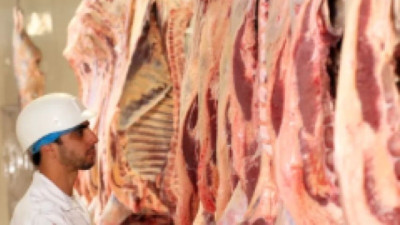 Frigoríficos del mercado interno con márgenes muy ajustados visualizan a la exportación como una opción
