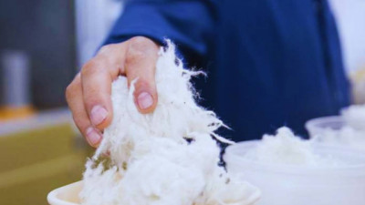 Presentan una plataforma para monitorear la calidad de la producción lanera
