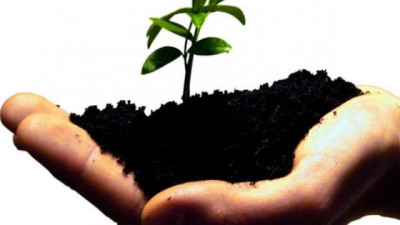 La Sociedad Rural Argentina impulsa una ley para desarrollar el mercado de carbono