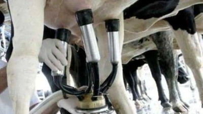 UTE aplicará descuentos en la tarifa eléctrica para productores e industrias del sector lácteo