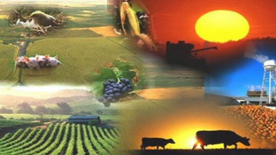 El Campo que gana y el que pierde: 4 economías regionales en verde frente a 9 en rojo