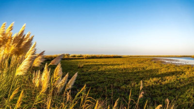 Los pastizales llegaron al Congreso: conservación, producción y políticas públicas