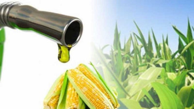 Biocombustibles: Claves para una transición energética y agroindustrial sustentable