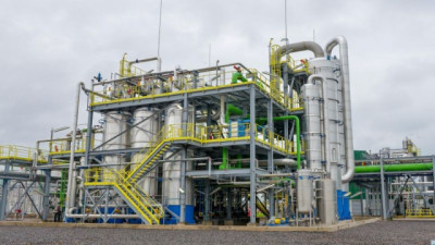 Agricultura autorizó la comercialización de una nueva levadura genéticamente modificada que optimiza la producción de bioetanol