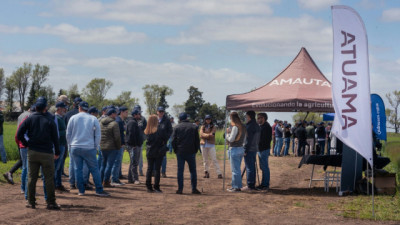 Con el “Niño” declarado, la nutrición vuelve al centro de la gruesa
