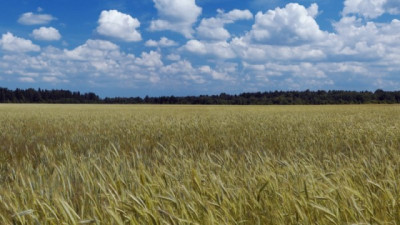 Acuerdo Mercosur-Unión Europea: Una gran oportunidad para el agro, con letra chica