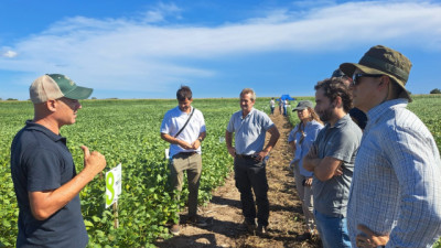 Soja: ACA Neogen apuesta a una campaña de alto potencial y pone el foco en la genética para transformar el agua en rendimiento