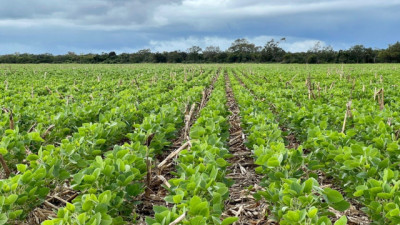 El Niño llega con lluvias y un desafío clave: nutrir los cultivos para transformar agua en rendimiento
