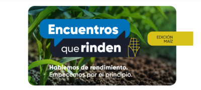 Encuentros que Rinden: especialistas analizarán el presente y futuro del maíz