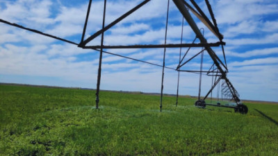 Eficientizar el uso del agua y el cuidado de los equipos de riego