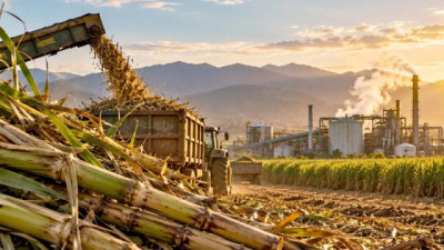 Tucumán supera el millón de toneladas de azúcar y produce casi 143 millones de litros de bioetanol