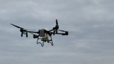 El Senasa evaluó la calidad de aplicación de aviones, drones y equipos terrestres para el control de langostas