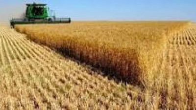 Exportaciones de Uruguay crecerían un 5% en este 2026 según datos presentados por la CEPAL