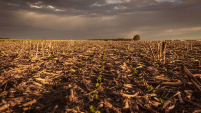 UPL y la ganadería regenerativa: 111.000 Tons de CO₂ y 537 Mill. de litros más de agua retenida