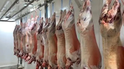 Intendencia de Artigas invertirá US$ 600.000 en el abasto municipal; el objetivo es que sea una planta exportadora