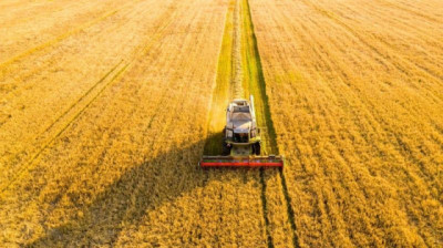 Las exportaciones agroindustriales que Argentina podría haber tenido